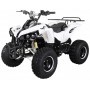 MINIQUAD S-10 ELÉCTRICO 1000W 48V