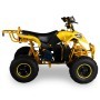 MINIQUAD ELÉCTRICO POLARI 1000W 48V ALTURA ASIENTO 64 CM