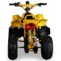 MINIQUAD ELÉCTRICO POLARI 1000W 48V ALTURA ASIENTO 64 CM