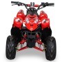 MINIQUAD ELÉCTRICO POLARI 1000W 48V ALTURA ASIENTO 64 CM