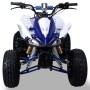 MINIQUAD ELÉCTRICO SPEEDY 1000W 48V ALTURA DE ASIENTO 70 CM