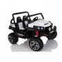 COCHE ELECTRICO PARA NIÑOS TODOTERRENO RSX 24V 2 PLAZAS 2022