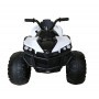 QUAD ELÉCTRICO PARA NIÑOS 12V 25W