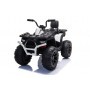 QUAD ELÉCTRICO PARA NIÑOS JC333 24 V 2x200W