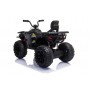 QUAD ELÉCTRICO PARA NIÑOS JC333 24 V 2x200W