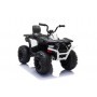 QUAD ELÉCTRICO PARA NIÑOS JC333 24 V 2x200W