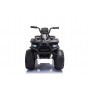 QUAD ELÉCTRICO PARA NIÑOS JC333 24 V 2x200W