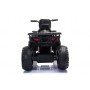 QUAD ELÉCTRICO PARA NIÑOS JC333 24 V 2x200W