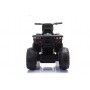 QUAD ELÉCTRICO PARA NIÑOS JC333 24 V 2x200W