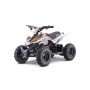MINI QUAD ELÉCTRICO 800W ROAN PANTERA