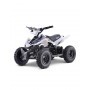 MINI QUAD ELÉCTRICO 800W ROAN PANTERA
