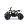 MINI QUAD ELÉCTRICO 800W ROAN PANTERA