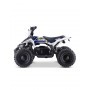 MINI QUAD ELÉCTRICO 800W ROAN PANTERA