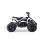 MINI QUAD ELÉCTRICO 800W ROAN PANTERA