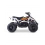 MINI QUAD ELÉCTRICO 800W ROAN PANTERA