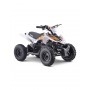 MINI QUAD ELÉCTRICO 800W ROAN PANTERA