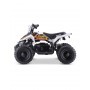 MINI QUAD ELÉCTRICO 800W ROAN PANTERA