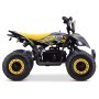 MINIQUAD ELÉCTRICO ROAN RATTE 800W LIMITADOR DE VELOCIDAD - CLAXON Y LUCES