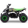 MINIQUAD ELÉCTRICO ROAN RATTE 800W LIMITADOR DE VELOCIDAD - CLAXON Y LUCES