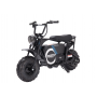 MOTO ELÉCTRICA FIRSTORM HP123E 1000W 48V
