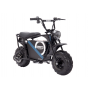MOTO ELÉCTRICA FIRSTORM HP123E 1000W 48V