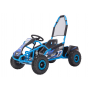 BUGGY ELÉCTRICO PARA NIÑOS PREDATOR 48 V 1000 W