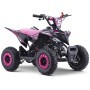 MINIQUAD PARA NIÑOS GASOLINA ROAN RATTE R6 49 CC