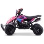 MINIQUAD PARA NIÑOS GASOLINA RAPTOR 49 CC