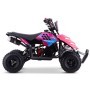 MINIQUAD PARA NIÑOS GASOLINA RAPTOR 49 CC