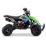 MINIQUAD PARA NIÑOS GASOLINA RAPTOR 49 CC