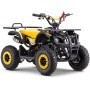 MINIQUAD PARA NIÑOS GASOLINA ROAN PANDA 49 CC