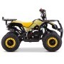 MINIQUAD PARA NIÑOS GASOLINA ROAN PANDA 49 CC