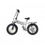 BICICLETA ELÉCTRICA KOOLUX BK10S 250W 48V 13AH