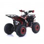 QUAD 125CC SEMI-AUTOMATICO APOLLO RFZ COMMANDER R8