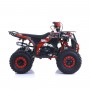 QUAD 125CC SEMI-AUTOMATICO APOLLO RFZ COMMANDER R8