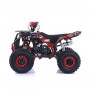 QUAD 125CC SEMI-AUTOMATICO APOLLO RFZ COMMANDER R8