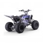 QUAD ELÉCTRICO 1500W DAKAR ROAN R8 BRUSHLESS ALTURA ASIENTO 72 CM