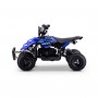 MINIQUAD ELÉCTRICO ROAN RAPTOR 500W 36V