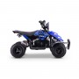 MINIQUAD ELÉCTRICO ROAN RAPTOR 500W 36V