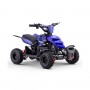 MINIQUAD ELÉCTRICO ROAN RAPTOR 500W 36V