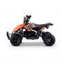 MINIQUAD ELÉCTRICO ROAN RAPTOR 500W 36V
