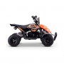MINIQUAD ELÉCTRICO ROAN RAPTOR 500W 36V