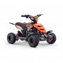 MINIQUAD ELÉCTRICO ROAN RAPTOR 500W 36V