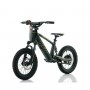 BICICLETA ELÉCTRICA INFANTIL 350W 16" ROAN RFN EVO-S