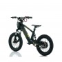 BICICLETA ELÉCTRICA INFANTIL 350W 16" ROAN RFN EVO-S
