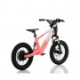 BICICLETA ELÉCTRICA INFANTIL 350W 16" ROAN RFN EVO-S