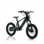 BICICLETA ELÉCTRICA NIÑO 100W 12" ROAN RFN SEDNA