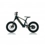 BICICLETA ELÉCTRICA NIÑO 100W 12" ROAN RFN SEDNA