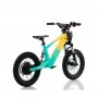 BICICLETA ELÉCTRICA NIÑO 100W 12" ROAN RFN SEDNA