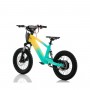 BICICLETA ELÉCTRICA NIÑO 100W 12" ROAN RFN SEDNA